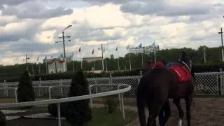 Центральный Московский Ипподром 2014