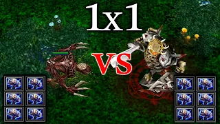 Lifestealler vs Skeleton king with 6x Malestorm | 25 Level | Who Will Beat?