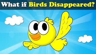 What if Birds Disappeared? + more videos | #aumsum #kids #science #education #children