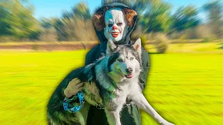 EL PAYASO SE ROBA A MI PERRO ODIN !!!