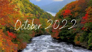 Indie - Folk / Pop Compilation - October  2022 🍂☕🍂 1 Hour Playlist #relaxingcosiness