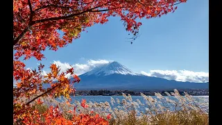 1st Autumn ni Janela in Japan ! #japan #autumn