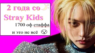 🌻 РОЗЫГРЫШ 🎴 1720 на руках картоных позиций k-pop за 2 года 😱stray kids карты организация биндер