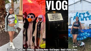 VLOG | Las Vegas Trip + Ice Bar + Clubbing + Surprising Nana + Oral Surgery + Benji’s Pawty & More