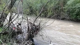 "Mesmerizing Water Sounds: Dive into Tranquility"