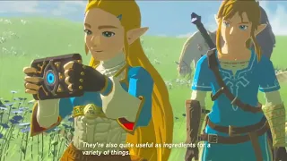 Zelink Style GMV Breath of the Wild BOTW Age of Calamity AMV
