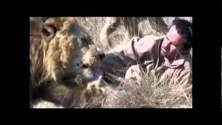 L'homme qui murmurait à l'oreille des lions par Kevin Richardson