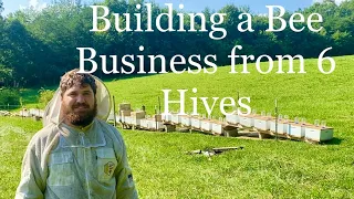 Splitting 6 Hives into 75 in 4 months