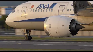 [4K60p]  伊丹空港 夕刻のANA B787離陸 / LUMIX DC-GH6 (no retouched)