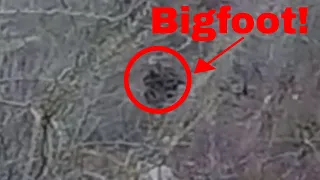 4 Unbelievable Sasquatch Bigfoot Sightings Caught On Tape In 2019!