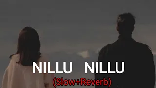 Nillu Nillu (Slow+Reverb) || Dil Rangeela Movie || #bahaddurali