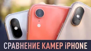 iPhone X, XR, XS - какая камера лучше и что выбрать?