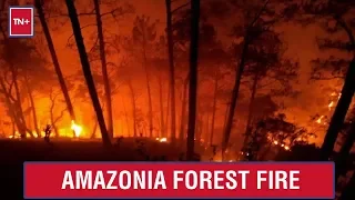 Amazon burning: Brazil's rainforest burning at a record speed