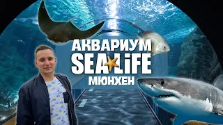 МОРСКАЯ ЖИЗНЬ Мюнхенский Аквариум