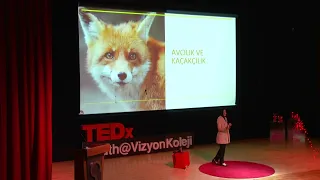 Bencilliğimizin Kurbanı Hayvanlar | ZEYNEP SELİN ALBAYRAK | TEDxYouth@VizyonKoleji