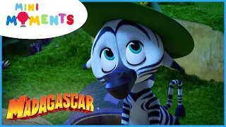 Never Give Up! | Madagascar: A Little Wild | Mini Moments