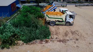 New project!!! Dozer operator D20 & Truck 5ton Pushing soil and Soil compaction on the Grass.