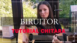 BIRUITOR / Tutorial chitara