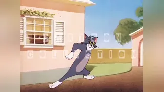 Tom and Jerry - The Flying Cat (1952)