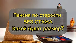 ПЕНСИЯ по Старости БЕЗ Трудового Стажа: РАЗМЕР в 2024 Году.