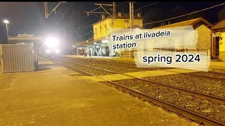 Spring trains at livadeia station.2024