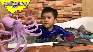 Bathtub time with Animal Planet Big Tub of Ocean Creatures - Octopus, Sharks, Whales