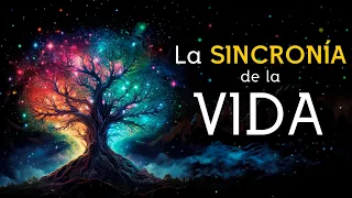 La SINCRONIA de la vida / Audiolibro completo en español