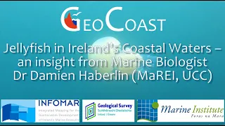 Jellyfish in Ireland’s Coastal Waters – an insight from Marine Biologist Dr Damien Haberlin