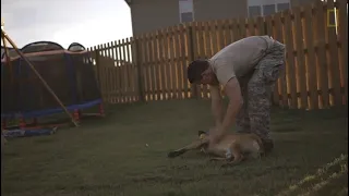 soldier adopted retired military dog who saved his life