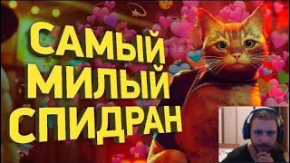 Как пройти Stray быстрее всех | Разбор спидрана | Реакция