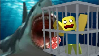 Shark Bait - (Animation)