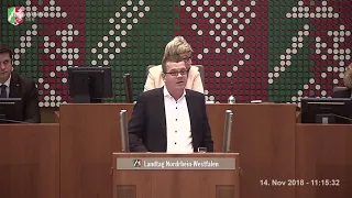 "Diesel-Urteile" - Markus Diekhoff (FDP) am 14.11.2018 im Landtag NRW