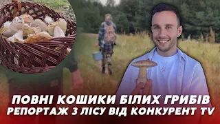 😍Білих грибів – ПОООВНІ КОШИКИ! Репортаж з лісу від Конкурент TV