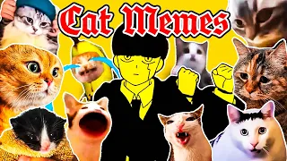 Bling Bang Bang Born x Cat Memes