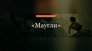 Краткое содержание - Маугли