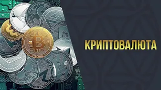 Сколько может стоить bitcoin и что это значит для umi?