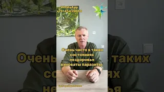 Паразиты и логопед, в чем сходство?