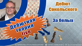 Дебют Сокольского. За белых. Игорь Немцев. Обучение шахматам