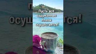 Пусть это утро будет наполнено теплом и светом!  С добрым утром и хорошего дня!#Shorts