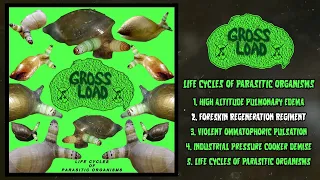 Gross Load - Life Cycles Of Parasitic Organisms FULL EP (2022 - Slamming Goregrind)