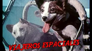 Belka y Strelka - viajeros espaciales LA URSS