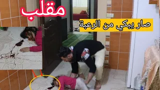 كنت عم صور وقعت غزل على راسها ونزل الدم 😱 جوزي كان بدو يضربني (مقلب)