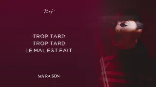 NEJ' - Ma Raison (Lyrics Video)