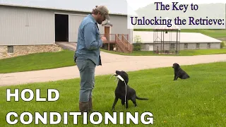 Hold Conditioning: Gun Dog Delivery Without Forced Fetch