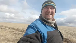 Охота в Казахстане на дикого гуся . Аркалык , Гагарино ,часть 2