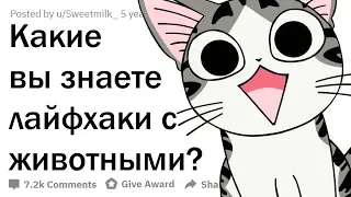 ЛАЙФХАКИ С ЖИВОТНЫМИ, О КОТОРЫХ ТЫ НЕ ПОДОЗРЕВАЛ