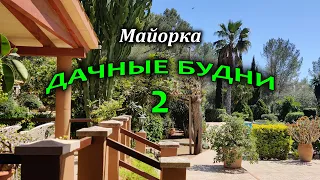 Майорка/Вилла в раю/Отдых с друзьями/Балеарские острова/Испания