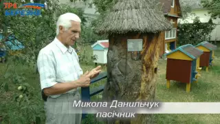 Бджолиний профілакторій в Кам'янці Березнівського району