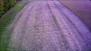 2019 soybean harvest with Cat lexion 585r