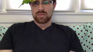 Kiwi the parakeet talks again!